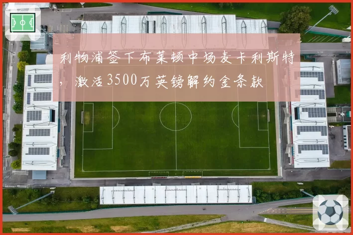 利物浦签下布莱顿中场麦卡利斯特，激活3500万英镑解约金条款